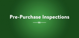 Pre - Purchase Inspections | Ayr Pest Control Services Ayr